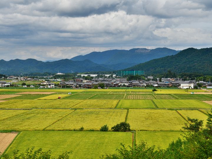 甲良町