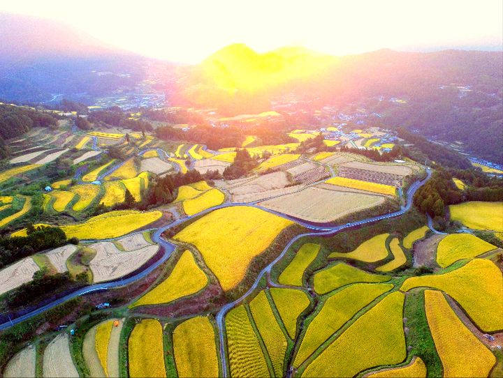 土佐町
