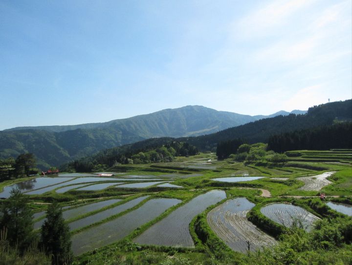 養父市