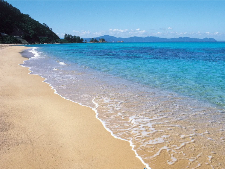 美浜町