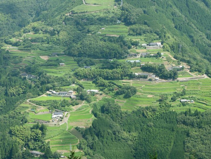 椎葉村