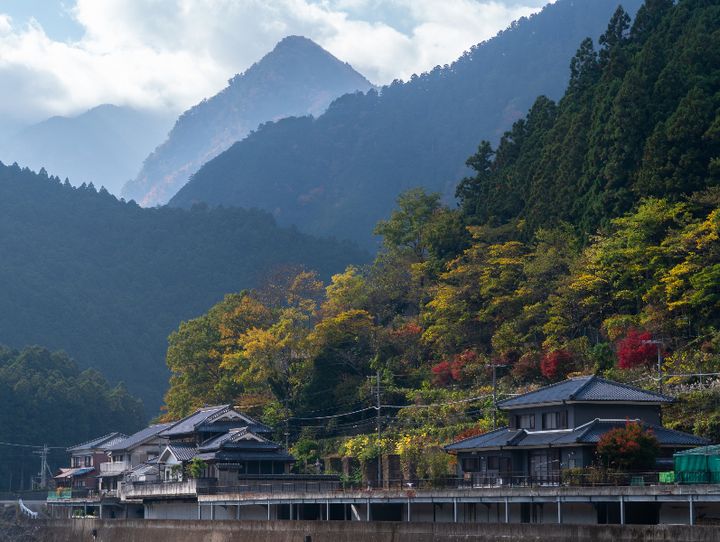 川上村