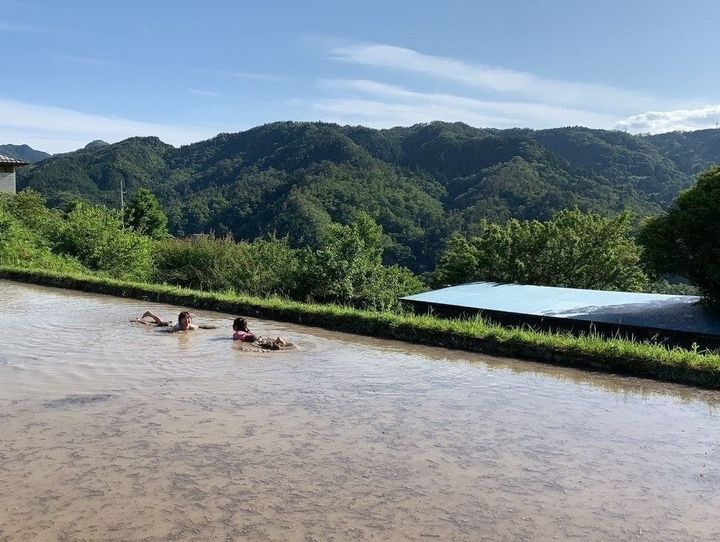 泰阜村