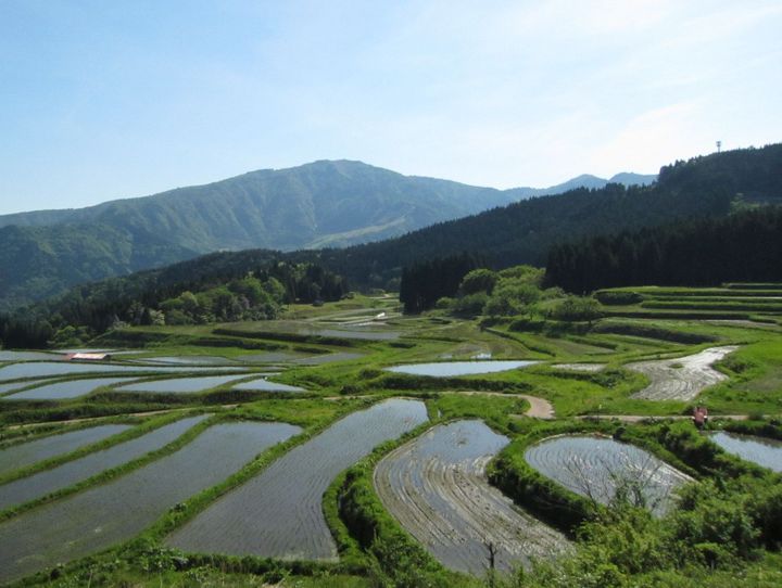 養父市