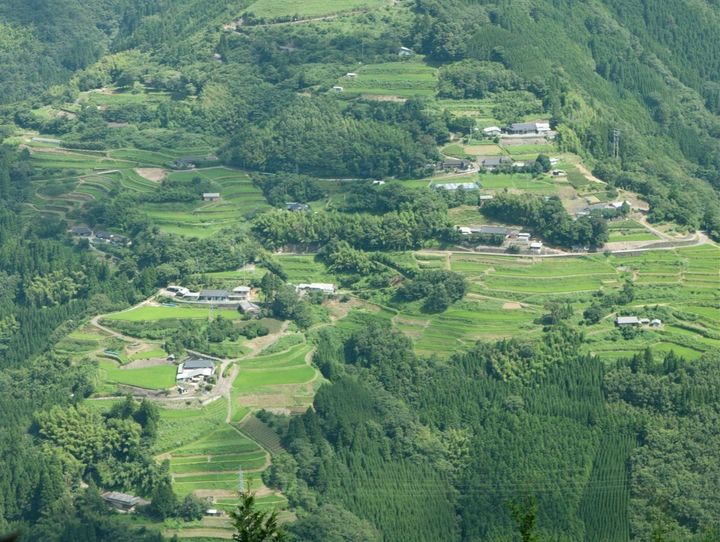 椎葉村