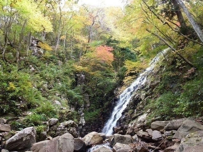 津山市