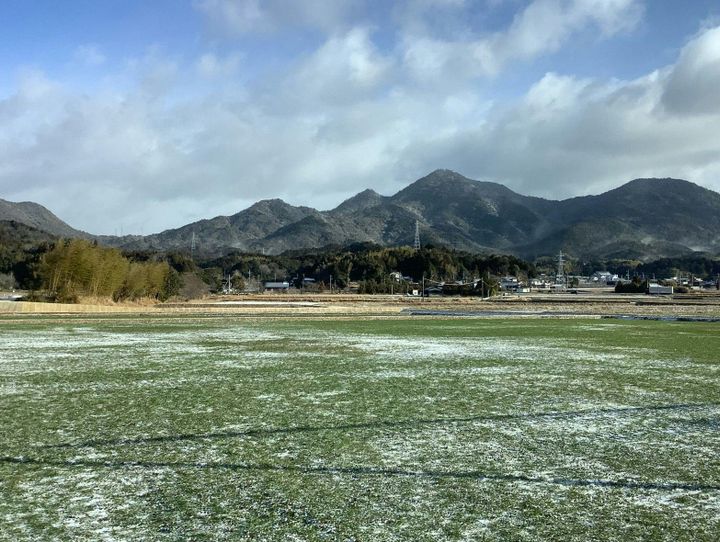 柳井市