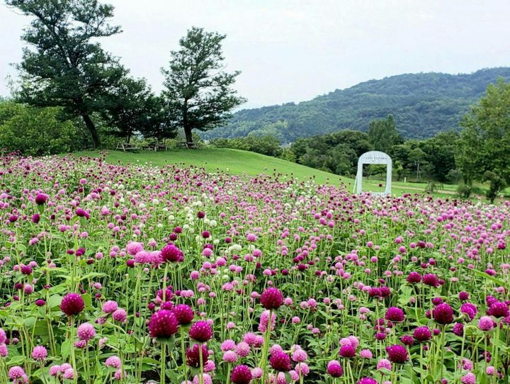 津山市