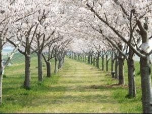 利根町