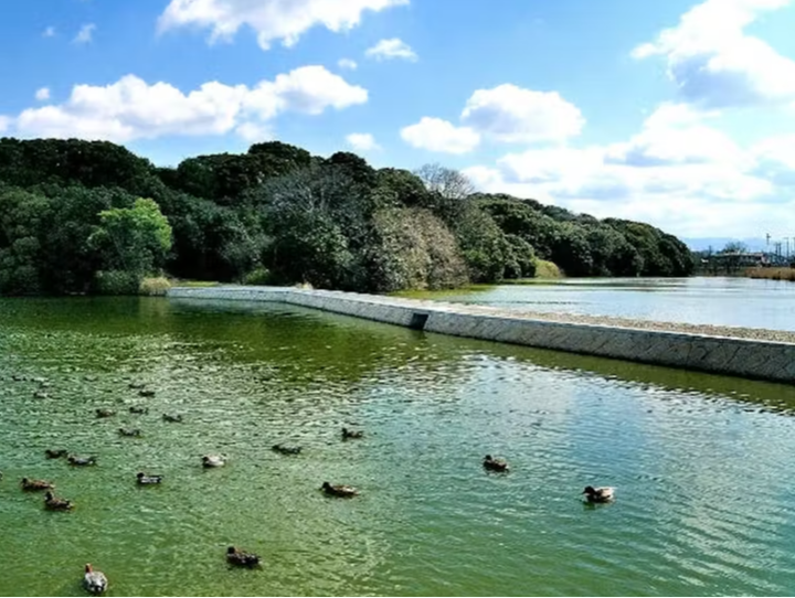松原市
