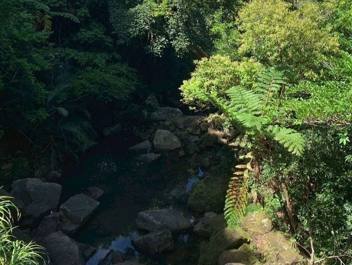 石垣市