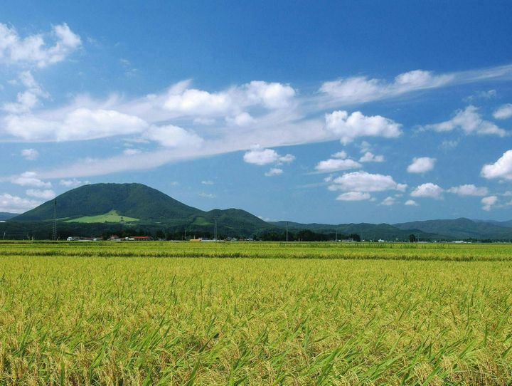 加美町