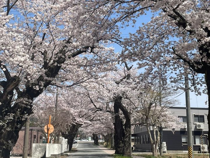 小国町