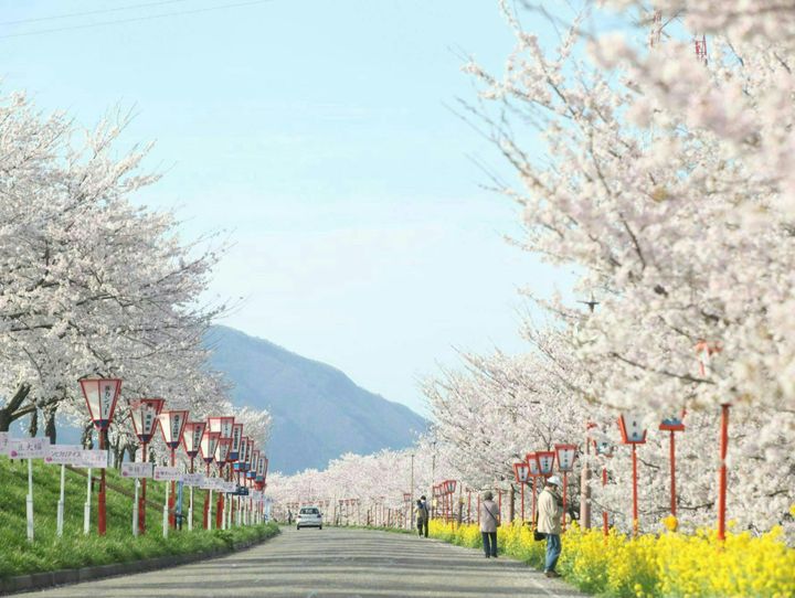 燕市