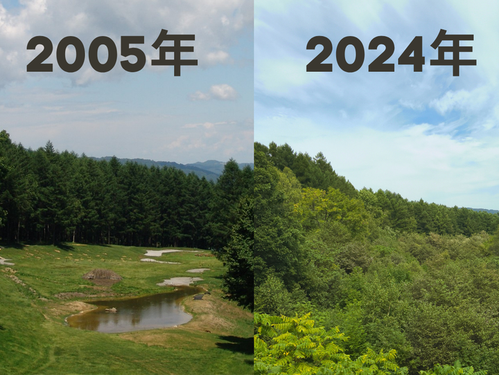 富良野市