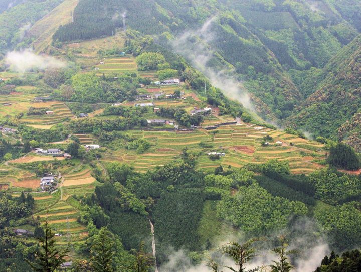 椎葉村