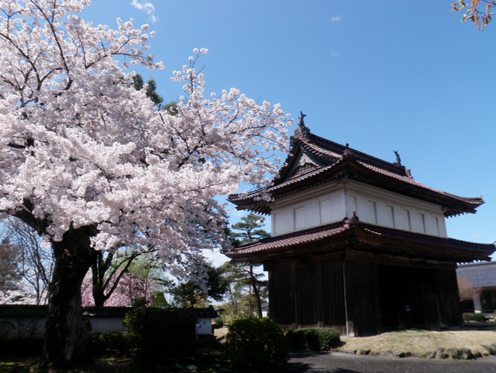 酒田市
