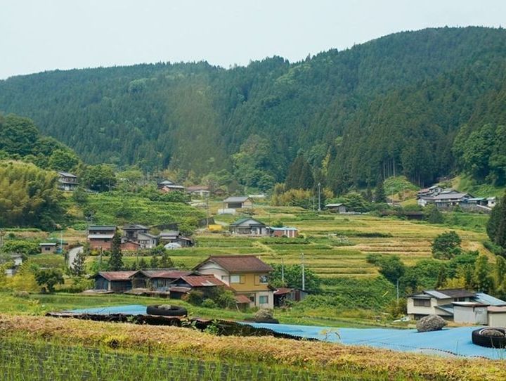 根羽村