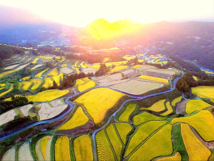 土佐町