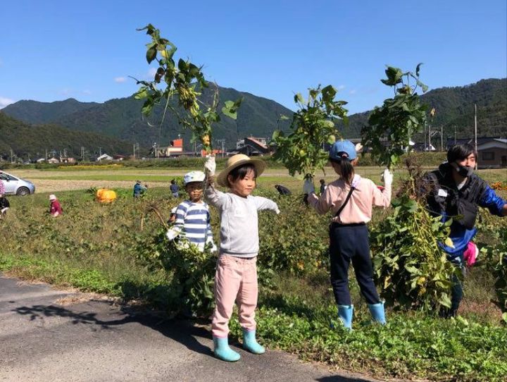 養父市