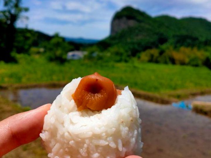 三条市