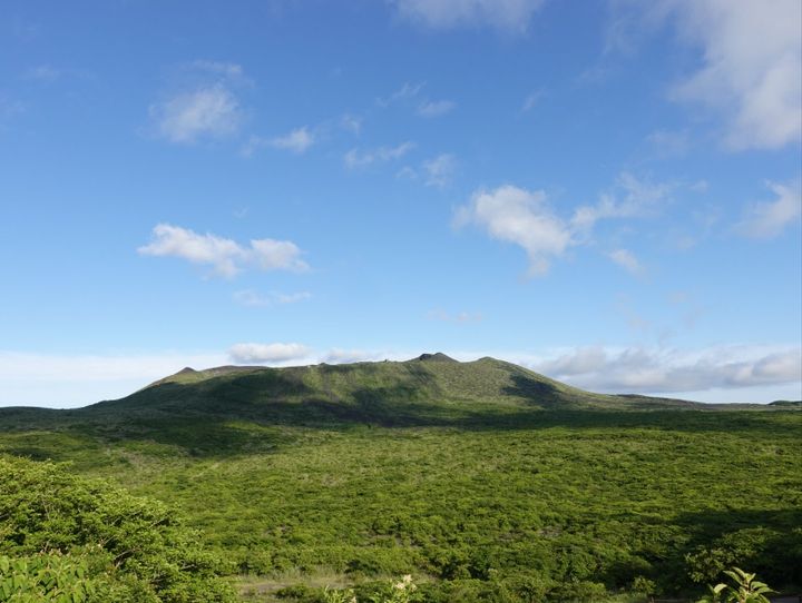大島町