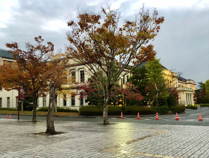 山口県全体