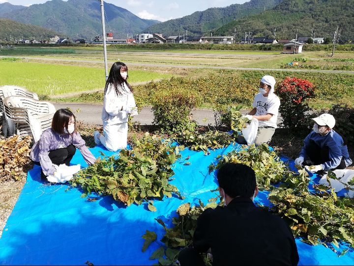 養父市