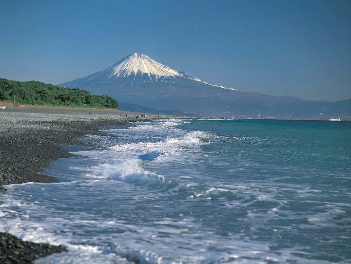 静岡県全体