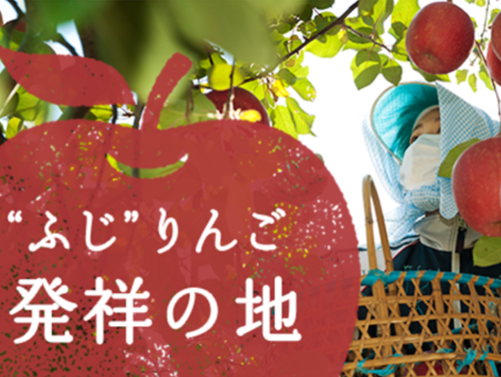 藤崎町